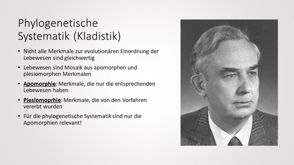 Phylogenetische Systematik Teil 2: Kladistik - Darwinator