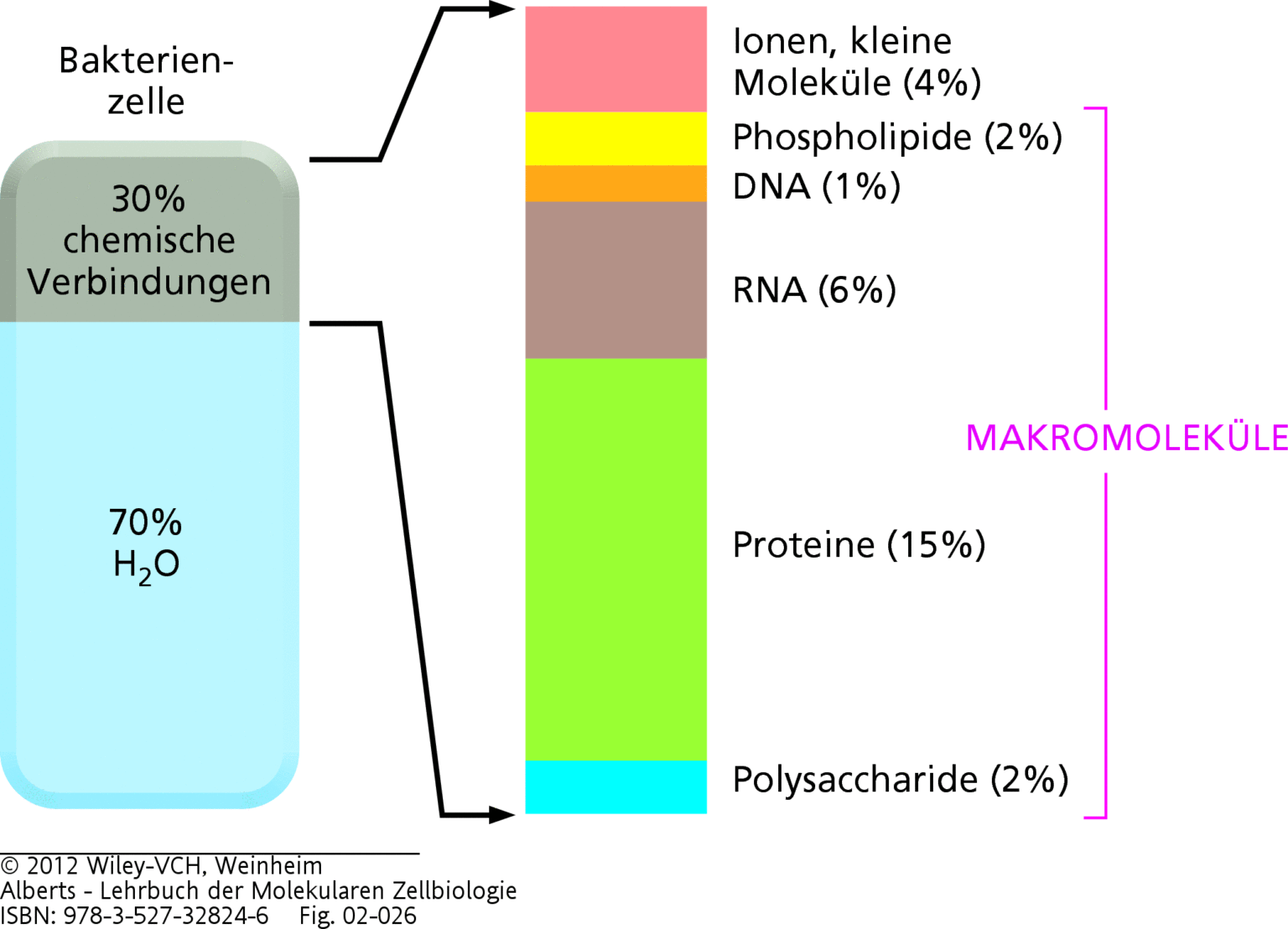 Molekularbiologie der Zelle Teil 3 Alles (biochemische) über Proteine, Zucker und Fette