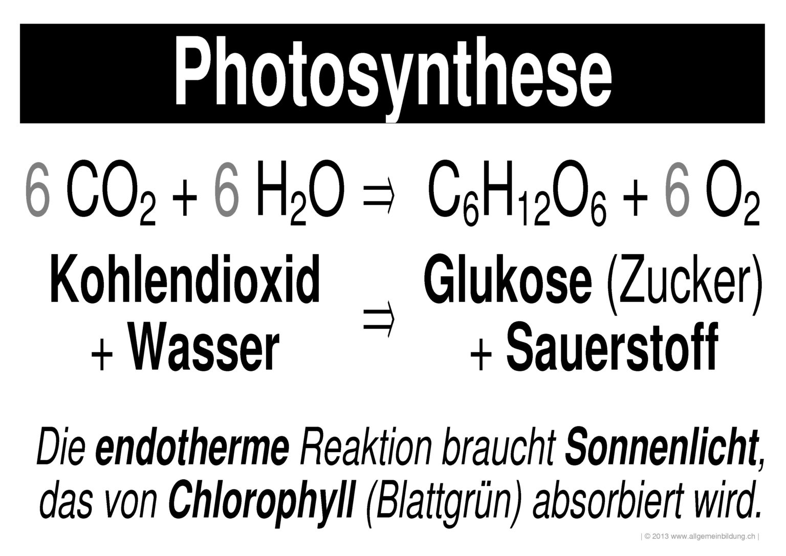 Chemische Formel Der Fotosynthese Molekularbiologie der Zelle Teil 7: Photosynthese » Darwinator